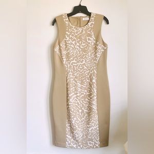 Size 12 Calvin Klein Leopard Dress